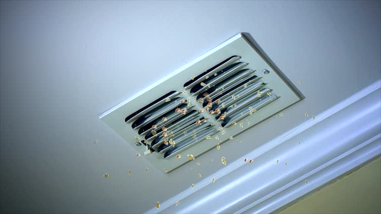 Best Emergency Air Duct Cleaning  in Vandergrift, PA