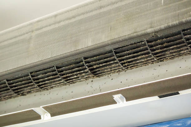 Best Local Air Duct Cleaning Services  in Vandergrift, PA